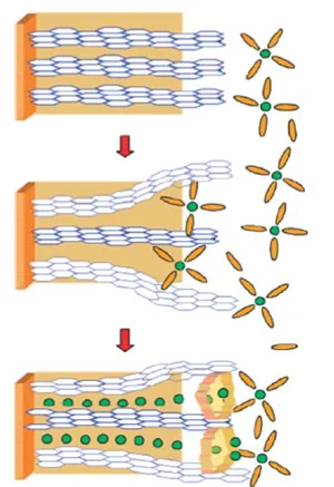 باتری‌های لیتیوم یون با الکترولیت مایع