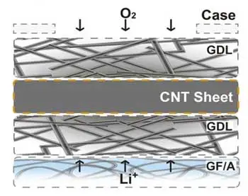 تصویر عرضی از قرارگیری نانو لوله کربنی cnt در باتری لیتیومی