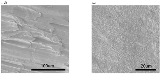 تصاویر میکروسکوپی
