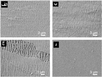 تصاویر میکروسکوب الکترونی از لایههای مختلف PP/GO/Nafion