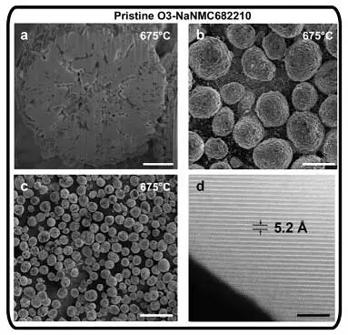 تصویر SEM از ساختار کاتد O3 باتری سدیم یون