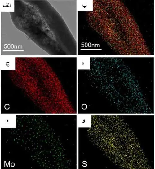 مکانیزم فناوری نانو برای حل مسئله