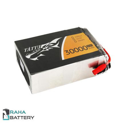 باتری لیتیوم پلیمر 30000 - رها باتری