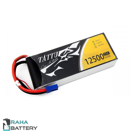 باتری لیتیوم پلیمر 6 سل 12500 میلی آمپر - رها باتری