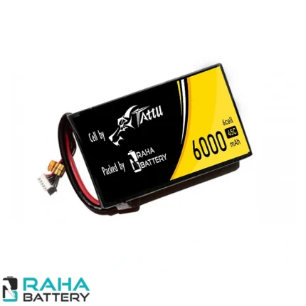 باتری لیتیوم پلیمر 6000 میلی آمپر 6 سل tattu - رها باتری